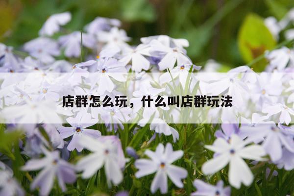 店群怎么玩，什么叫店群玩法