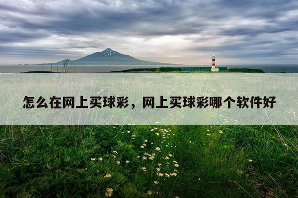怎么在网上买球彩，网上买球彩哪个软件好