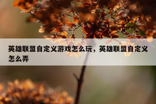 英雄联盟自定义游戏怎么玩，英雄联盟自定义怎么弄