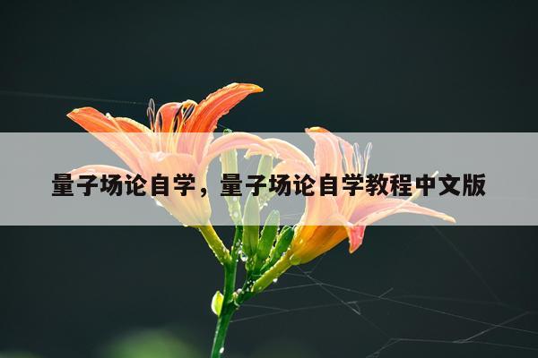 量子场论自学，量子场论自学教程中文版
