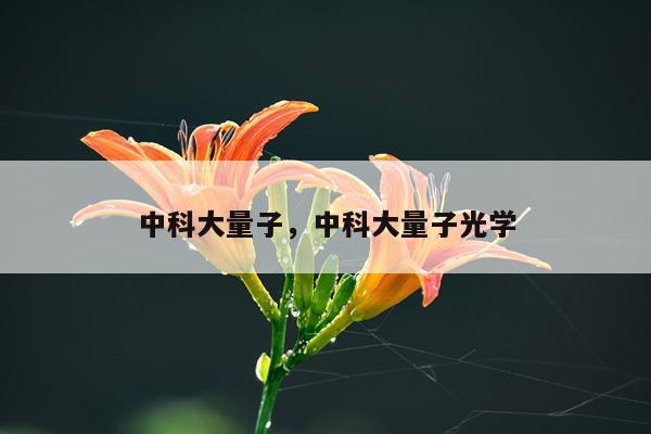 中科大量子，中科大量子光学