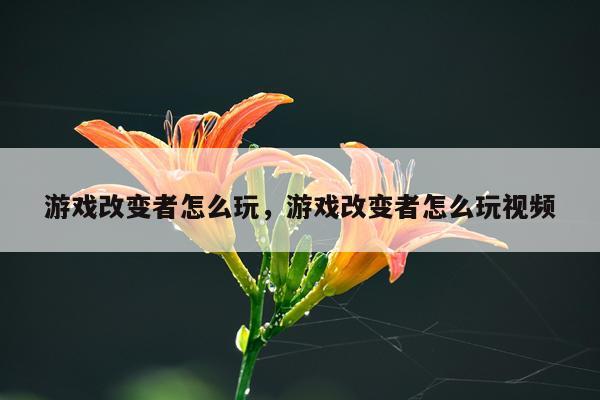 游戏改变者怎么玩，游戏改变者怎么玩视频