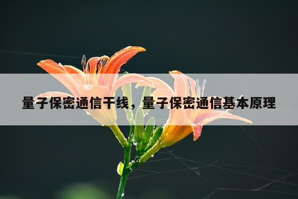量子保密通信干线，量子保密通信基本原理