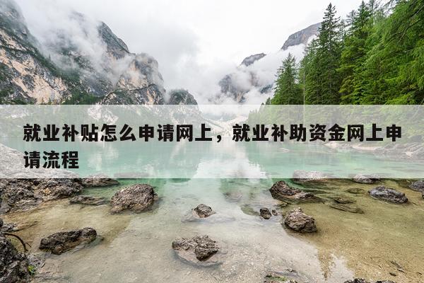 就业补贴怎么申请网上，就业补助资金网上申请流程