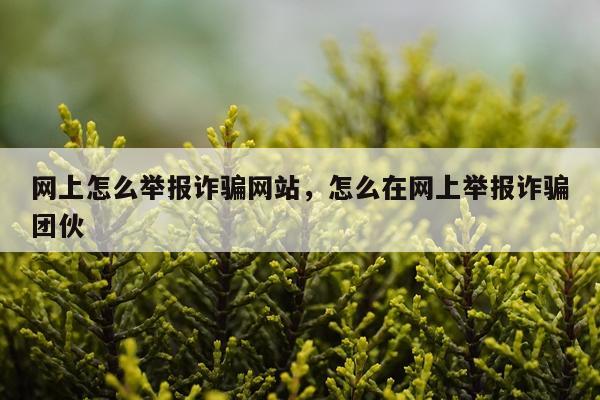 网上怎么举报诈骗网站，怎么在网上举报诈骗团伙