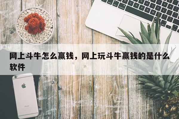 网上斗牛怎么赢钱，网上玩斗牛赢钱的是什么软件
