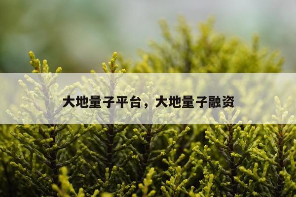 大地量子平台，大地量子融资