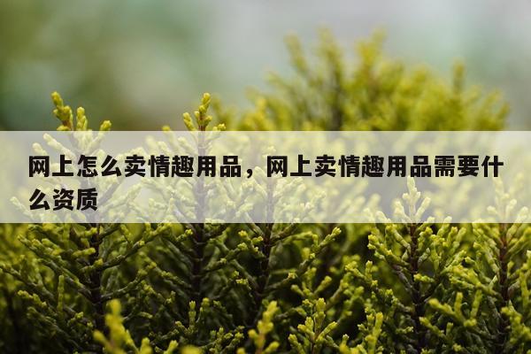 网上怎么卖情趣用品，网上卖情趣用品需要什么资质