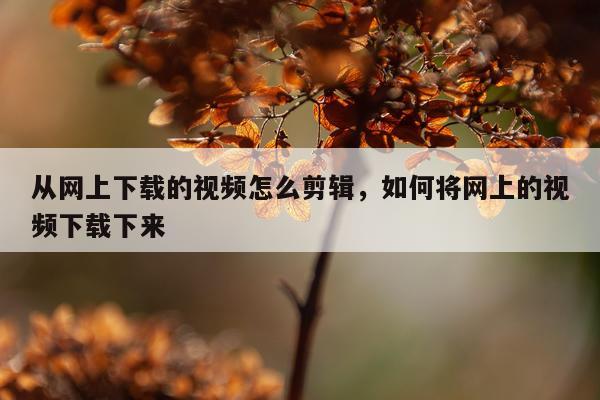 从网上下载的视频怎么剪辑，如何将网上的视频下载下来