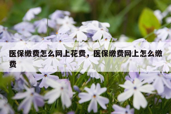 医保缴费怎么网上花费，医保缴费网上怎么缴费