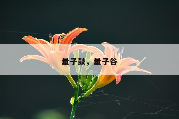 量子鼓，量子谷