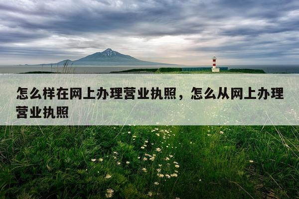 怎么样在网上办理营业执照，怎么从网上办理营业执照