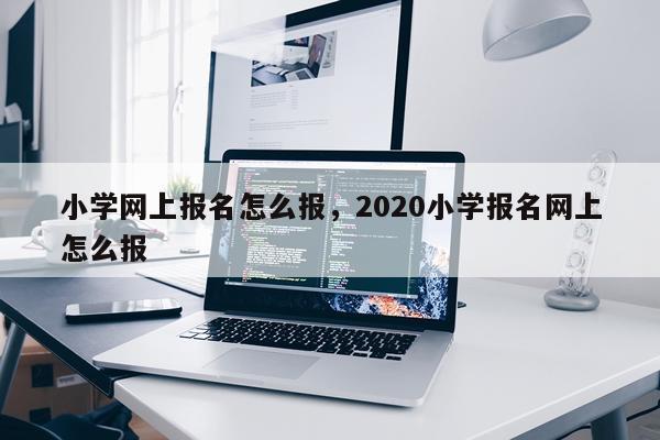 小学网上报名怎么报，2020小学报名网上怎么报