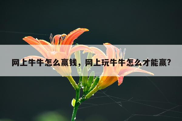 网上牛牛怎么赢钱，网上玩牛牛怎么才能赢?