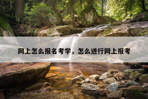 网上怎么报名考学，怎么进行网上报考
