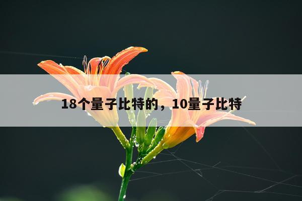 18个量子比特的，10量子比特