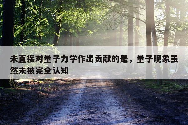 未直接对量子力学作出贡献的是，量子现象虽然未被完全认知