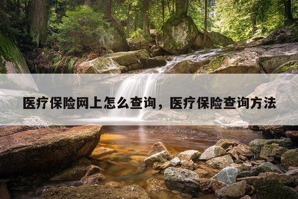 医疗保险网上怎么查询，医疗保险查询方法