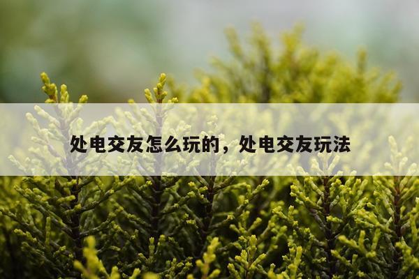 处电交友怎么玩的，处电交友玩法