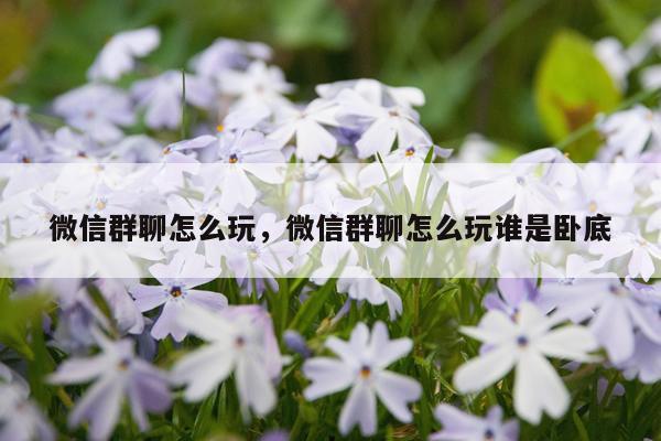 微信群聊怎么玩，微信群聊怎么玩谁是卧底