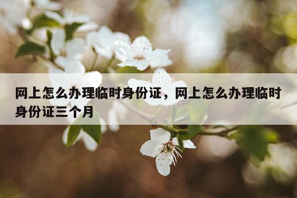 网上怎么办理临时身份证，网上怎么办理临时身份证三个月