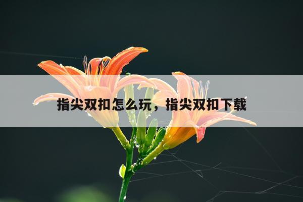 指尖双扣怎么玩，指尖双扣下载
