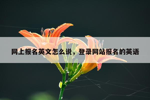 网上报名英文怎么说，登录网站报名的英语