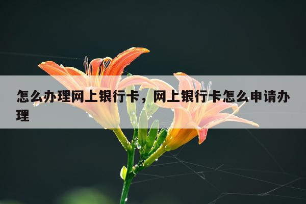 怎么办理网上银行卡，网上银行卡怎么申请办理
