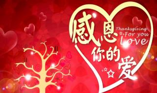 赞美老师的作文600字