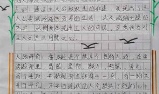 神奇的探险之旅优秀作文