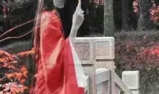 公子欢喜不正当关系